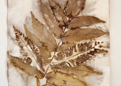 Eco Print.